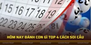 Hôm Nay Đánh Con Gì