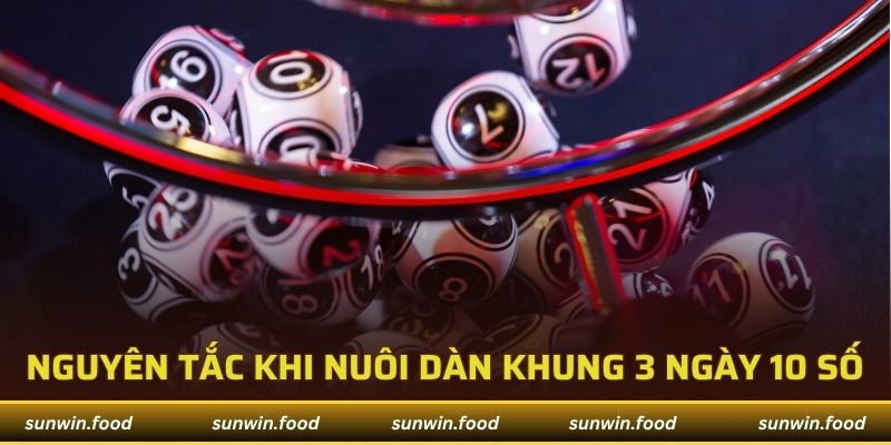Nguyên tắc cơ bản khi nuôi dàn khung 3 ngày 10 số